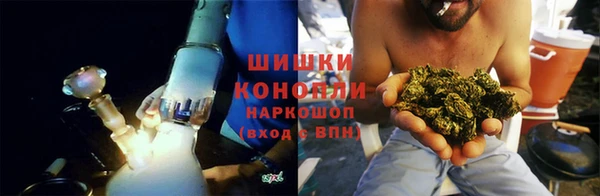 шишки Бронницы