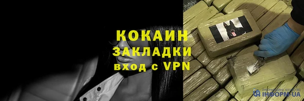 шишки Бронницы