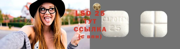шишки Бронницы